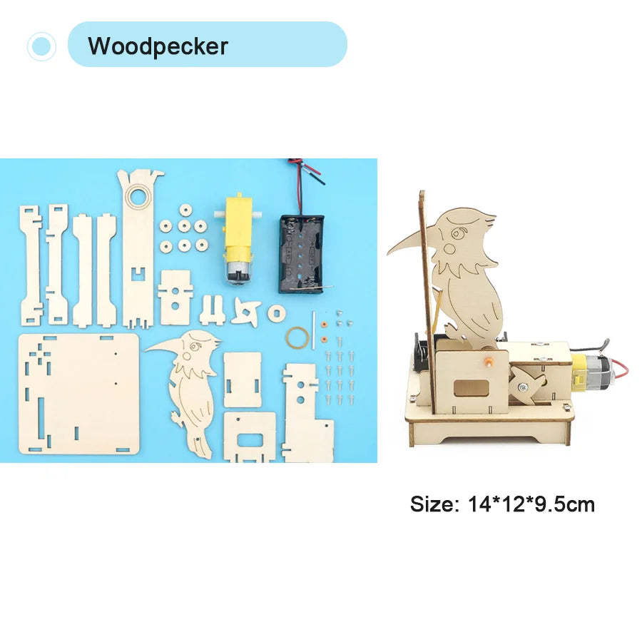 Kit Modelos Científicos DIY Experimento Físico Juguete Educativo Ensamblable para Niños