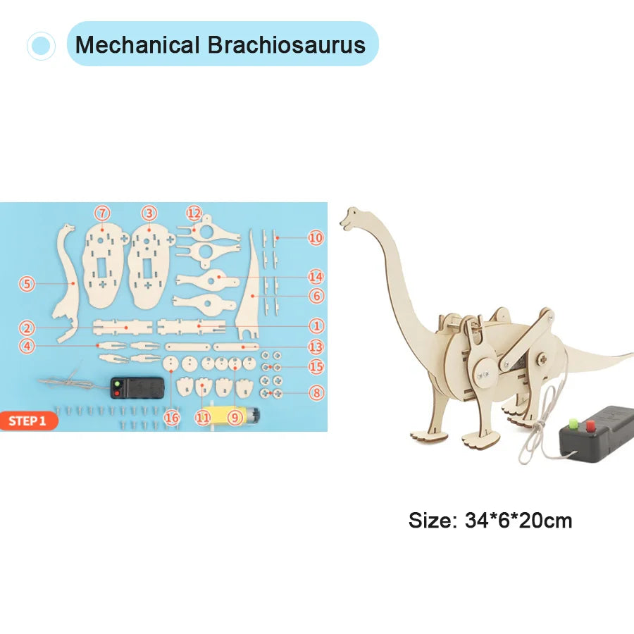 Kit Modelos Científicos DIY Experimento Físico Juguete Educativo Ensamblable para Niños