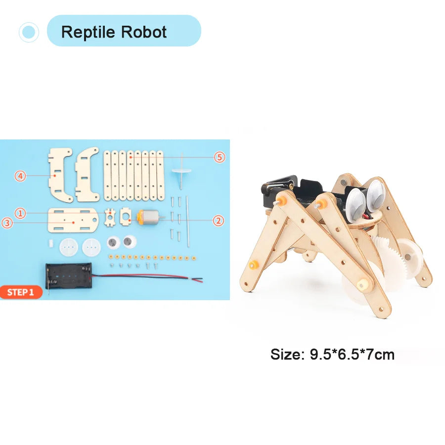 Kit Modelos Científicos DIY Experimento Físico Juguete Educativo Ensamblable para Niños