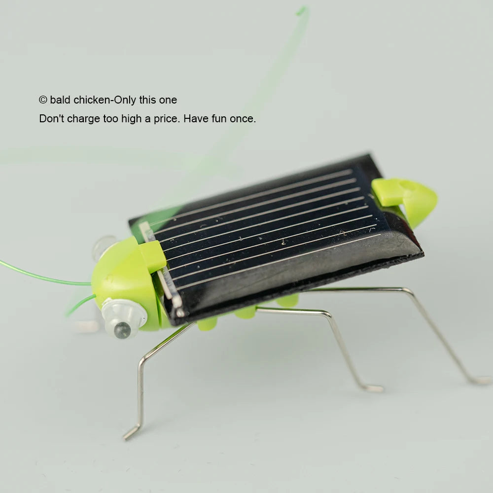 Saltamontes Solar Educativo Juguete Rompecabezas de Ciencias para Niños