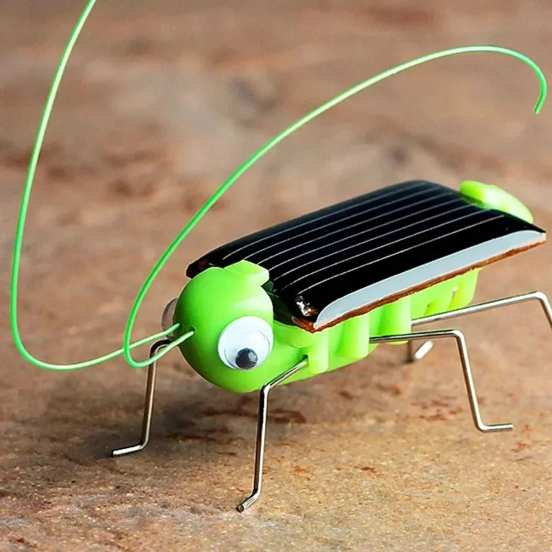 Saltamontes Solar Educativo Juguete Rompecabezas de Ciencias para Niños