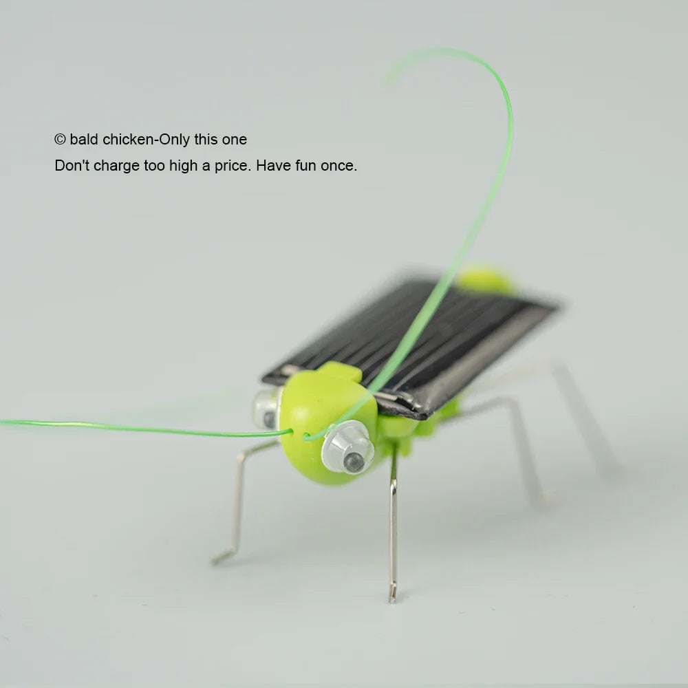 Saltamontes Solar Educativo Juguete Rompecabezas de Ciencias para Niños